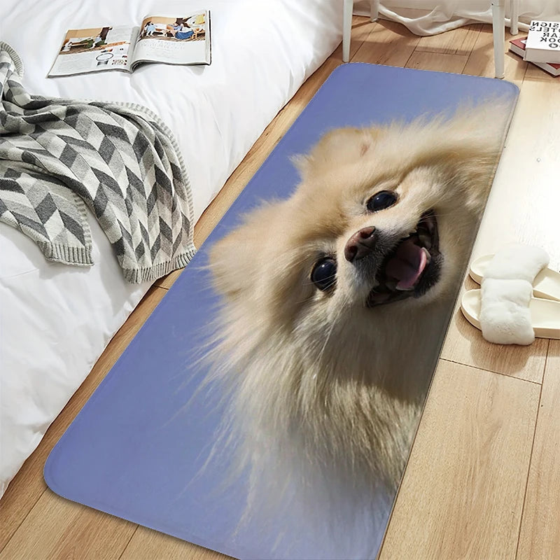 Bath Rug A-Pomeranians Aesthetic Kitchen Mat Carpet Living Room Carpets Room Decorating Items House Entrance Mat Non Slip Carpet | Sorpresa
