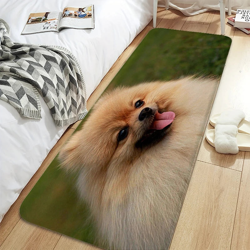 Bath Rug A-Pomeranians Aesthetic Kitchen Mat Carpet Living Room Carpets Room Decorating Items House Entrance Mat Non Slip Carpet | Sorpresa