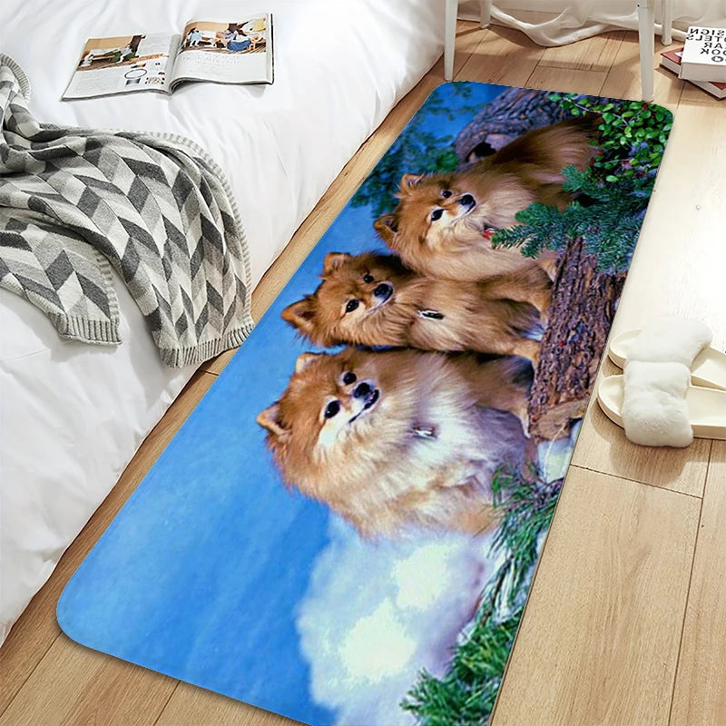 Bath Rug A-Pomeranians Aesthetic Kitchen Mat Carpet Living Room Carpets Room Decorating Items House Entrance Mat Non Slip Carpet | Sorpresa