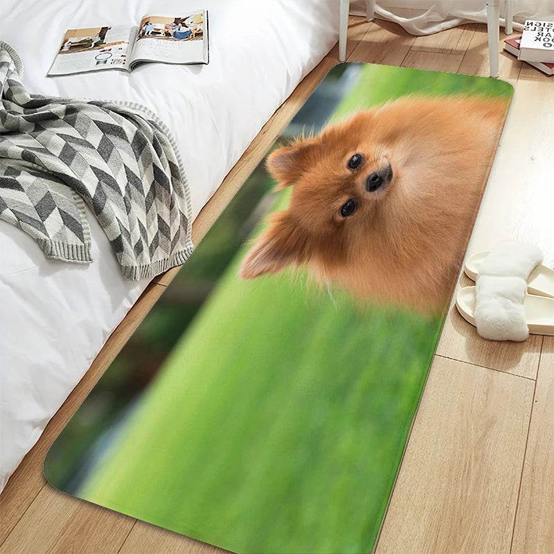 Bath Rug A-Pomeranians Aesthetic Kitchen Mat Carpet Living Room Carpets Room Decorating Items House Entrance Mat Non Slip Carpet | Sorpresa