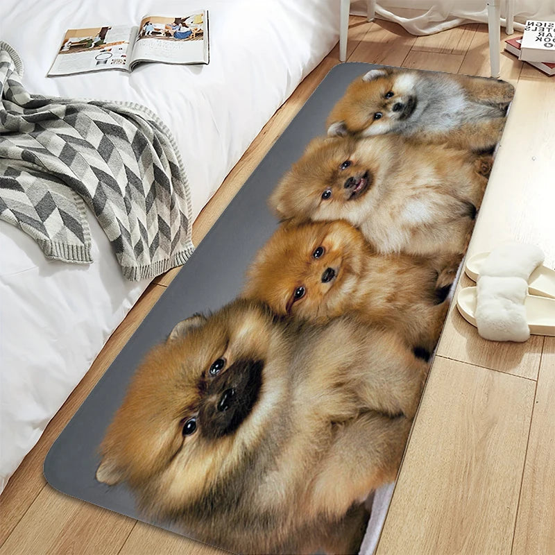 Bath Rug A-Pomeranians Aesthetic Kitchen Mat Carpet Living Room Carpets Room Decorating Items House Entrance Mat Non Slip Carpet | Sorpresa