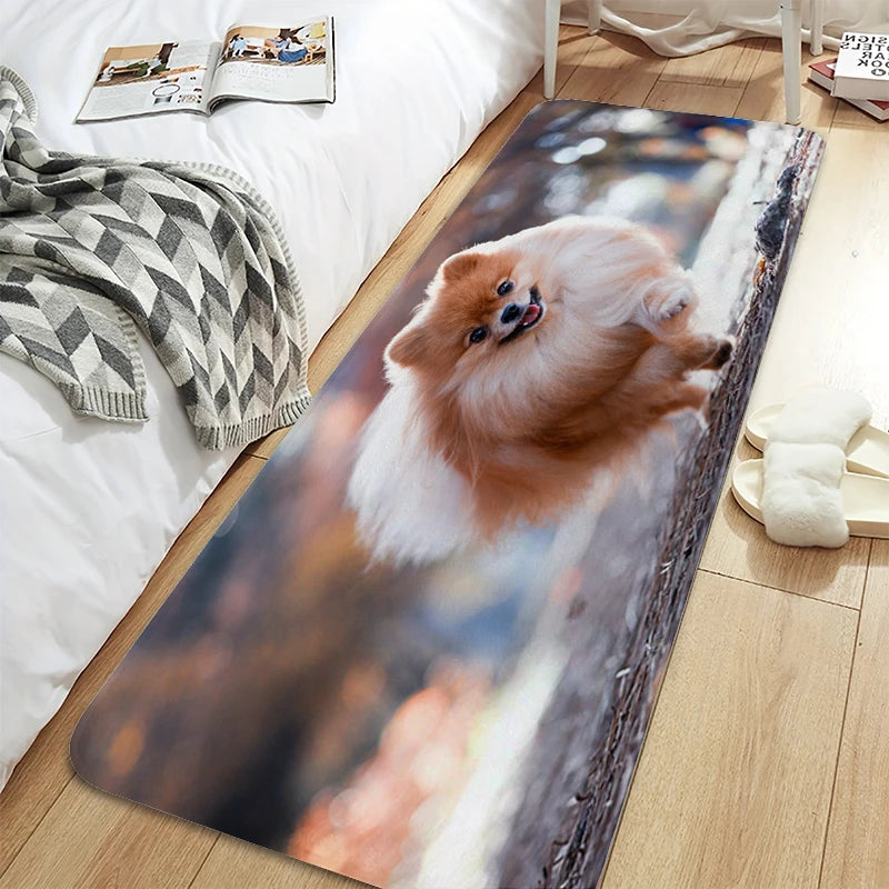 Bath Rug A-Pomeranians Aesthetic Kitchen Mat Carpet Living Room Carpets Room Decorating Items House Entrance Mat Non Slip Carpet | Sorpresa
