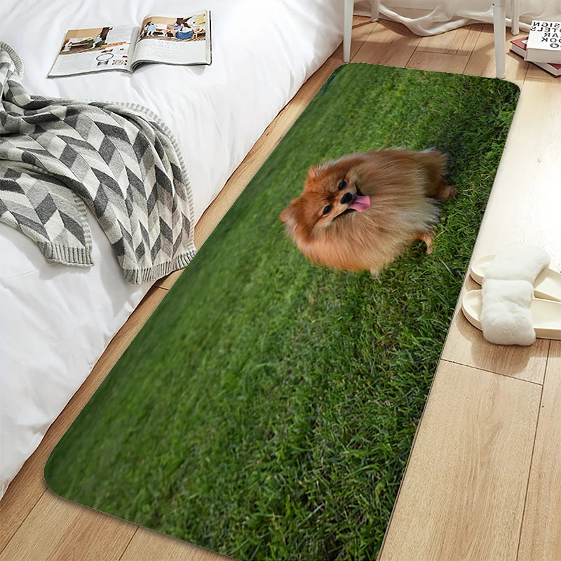 Bath Rug A-Pomeranians Aesthetic Kitchen Mat Carpet Living Room Carpets Room Decorating Items House Entrance Mat Non Slip Carpet | Sorpresa