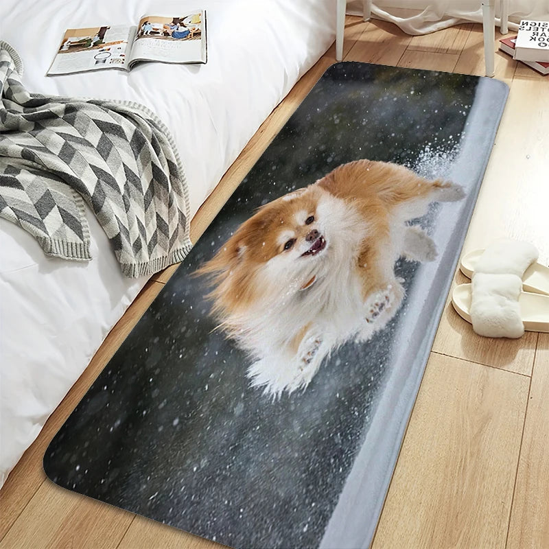 Bath Rug A-Pomeranians Aesthetic Kitchen Mat Carpet Living Room Carpets Room Decorating Items House Entrance Mat Non Slip Carpet | Sorpresa