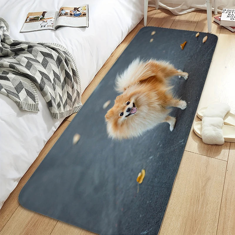 Bath Rug A-Pomeranians Aesthetic Kitchen Mat Carpet Living Room Carpets Room Decorating Items House Entrance Mat Non Slip Carpet | Sorpresa