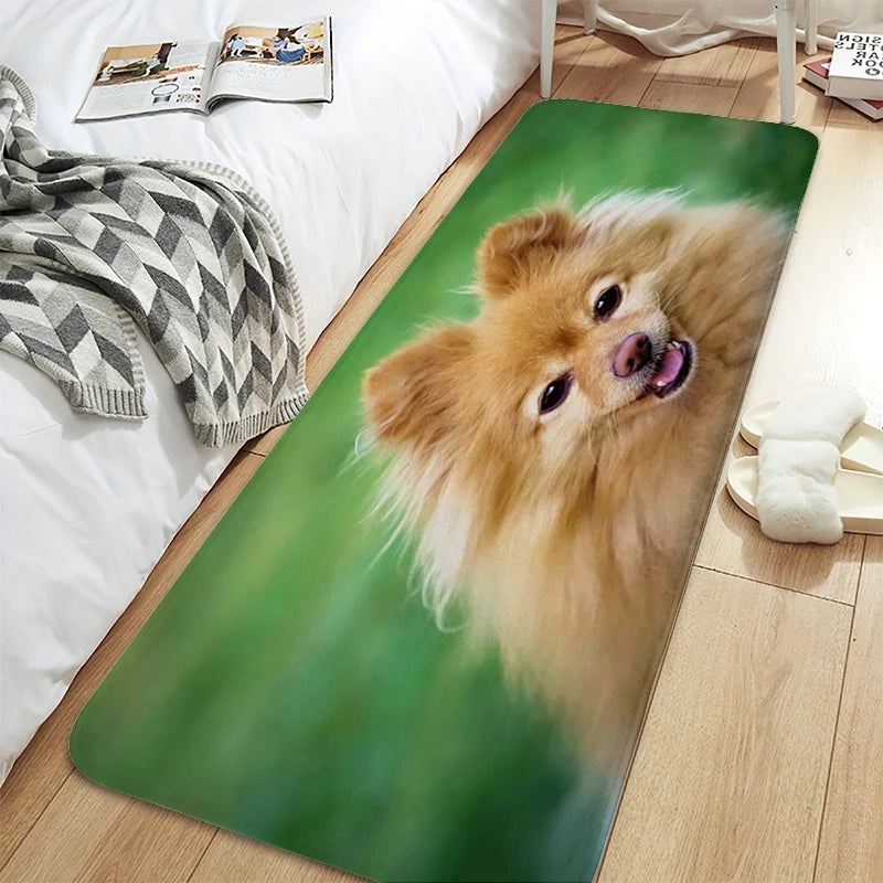 Bath Rug A-Pomeranians Aesthetic Kitchen Mat Carpet Living Room Carpets Room Decorating Items House Entrance Mat Non Slip Carpet | Sorpresa