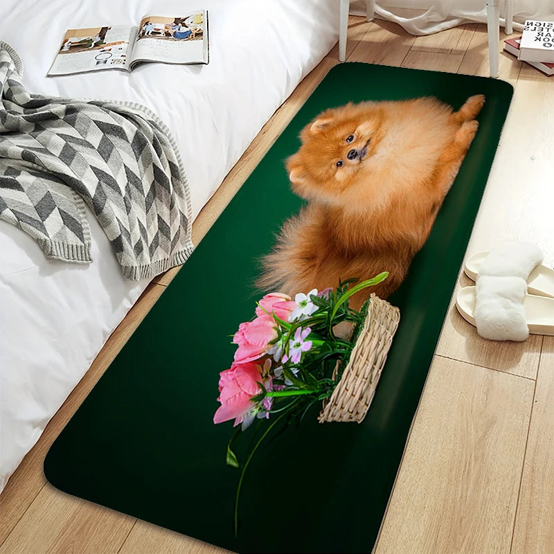 Bath Rug A-Pomeranians Aesthetic Kitchen Mat Carpet Living Room Carpets Room Decorating Items House Entrance Mat Non Slip Carpet | Sorpresa