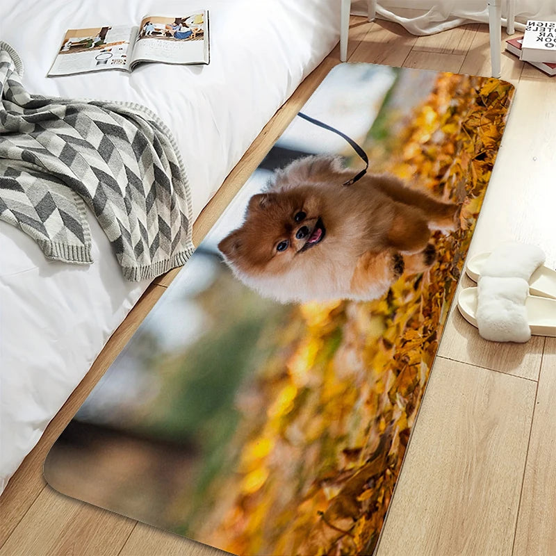 Bath Rug A-Pomeranians Aesthetic Kitchen Mat Carpet Living Room Carpets Room Decorating Items House Entrance Mat Non Slip Carpet | Sorpresa