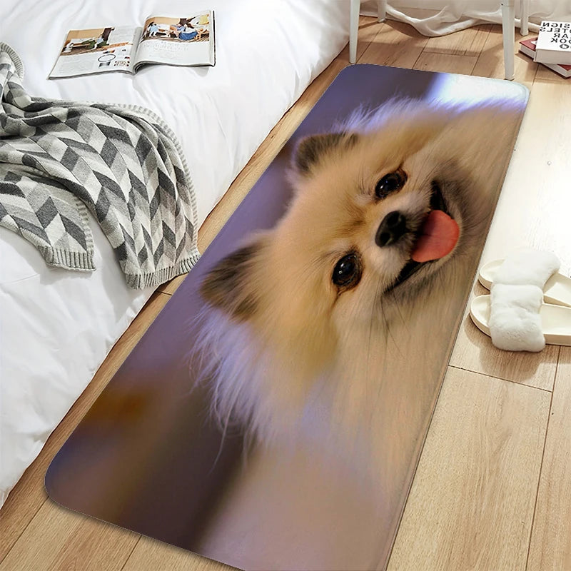 Bath Rug A-Pomeranians Aesthetic Kitchen Mat Carpet Living Room Carpets Room Decorating Items House Entrance Mat Non Slip Carpet | Sorpresa